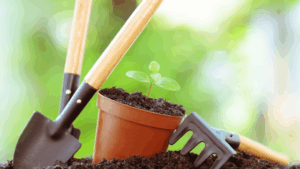 Gardening-ongoing-care
