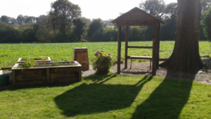 Gardening-ongoing-care (1)